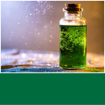 Bottle Green Solid Color