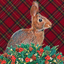 Christmas: Rabbit Plaid Theme