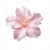 Bloom & Ink