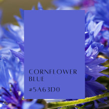 Cornflower Blue