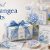thepapercraftstudio