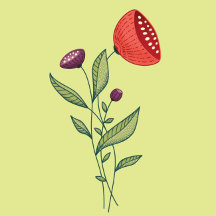 Spring Flowers Abstract Botanical Line Art