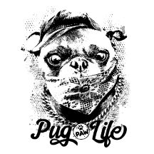 Pug Paw Life Collection