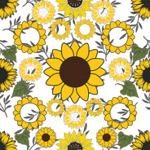 Shoes and Flip flops