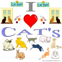 i love cats