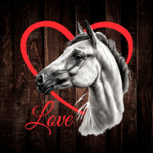 Horse Tees & Hoodies