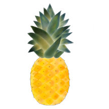 Pineapple Coffee Mugs