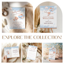 Teddy Bear Blue and Blush Baby Shower