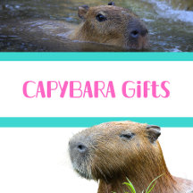Capybara Lover Gifts