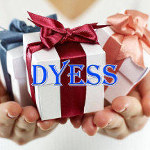 Dyess_Name T-Shirt