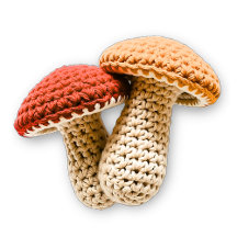 Crochet Mushrooms