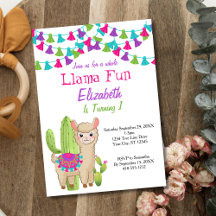Whole Llama Fun Birthday Party and Baby Shower