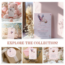 Soft Pink Stork & Butterfly Baby Shower Collection