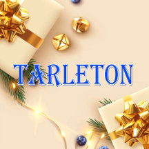 Tarleton_Name T-Shirt