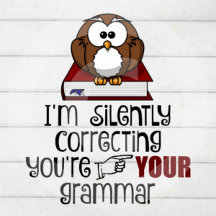 Owl Silently Correcting Grammar