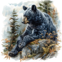 Eternal Serenity: Woodland Wonders Collection