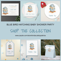 BLUE BIRD HATCHING BABY SHOWER PARTY SUPPLIES