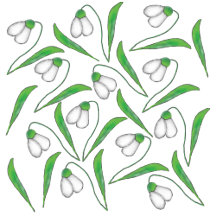 Snowdrop
