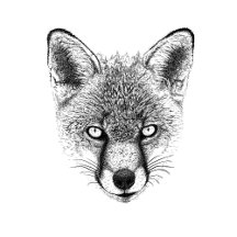 Animal Lover T-Shirts