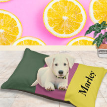 Modern Color Block Personalized Pet Dog Beds