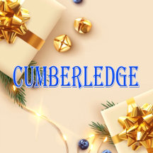 Cumberledge_Name T-Shirt