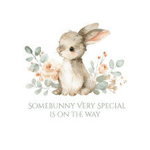 Some Bunny Baby Shower