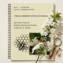 The Botanical Paperie