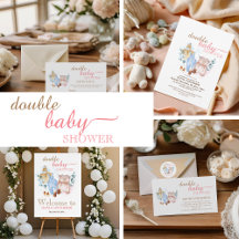 Double Baby Shower