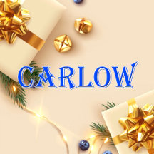 Carlow_Name T-Shirt