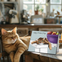 Happy Mother's Day Cat