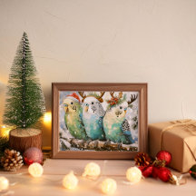 Festive Budgie Christmas Collection