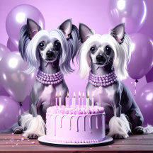 Chinese Crested Birthday Party