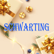 Schwarting_Name T-Shirt