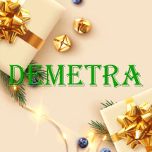 Demetra Name T-Shirt