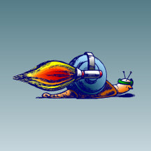 Rocket Snail Collection