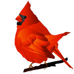 CardinalCreations