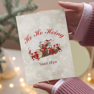 Camiseta Ho Hoing desde 1890 gnomos de natal