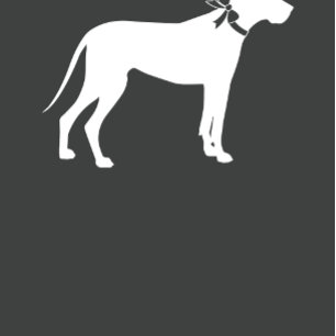 Convite Grande Chá de fraldas de cão, Sexo neutro