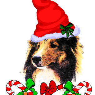 Cartão De Festividades Cute Sheltie Santa Christmas