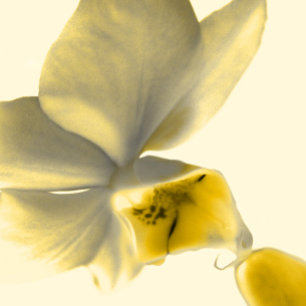 Convite Flor Artístico em Toneladas Amarelas - Casamento