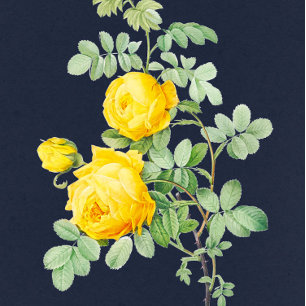 Convite Marinho e Casamento Romântico Rosa Amarelo