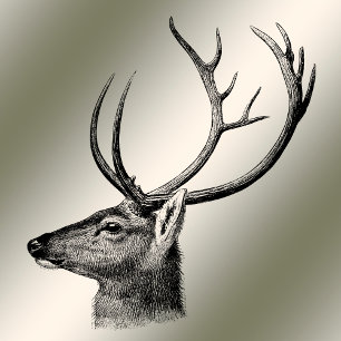 Cartão De Festividades Ouro de Reindedo Floral de Natal Winter