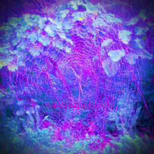 Moletom Orb Weaver/Entre Raízes,