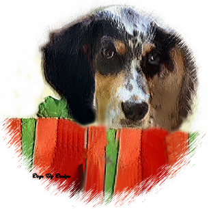 Cartão De Festividades English Setter Christmas Gifts