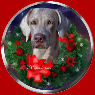 Cartão De Festividades Weimaraner Christmas Gifts