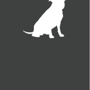 Convite Pit Bull Chá de fraldas Gênero Pitbull neutro