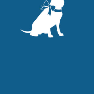 Convite Pit Bull Chá de fraldas Blue Boy Pitbull