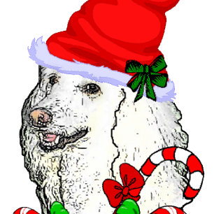 Cartão De Festividades Cute Poodle Santa Christmas