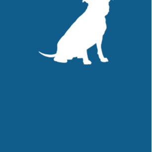 Convite Pit Bull Chá de fraldas Blue Boy Pitbull