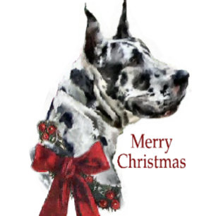 Cartão De Festividades Presentes de Natal de Harlequin Great Dane